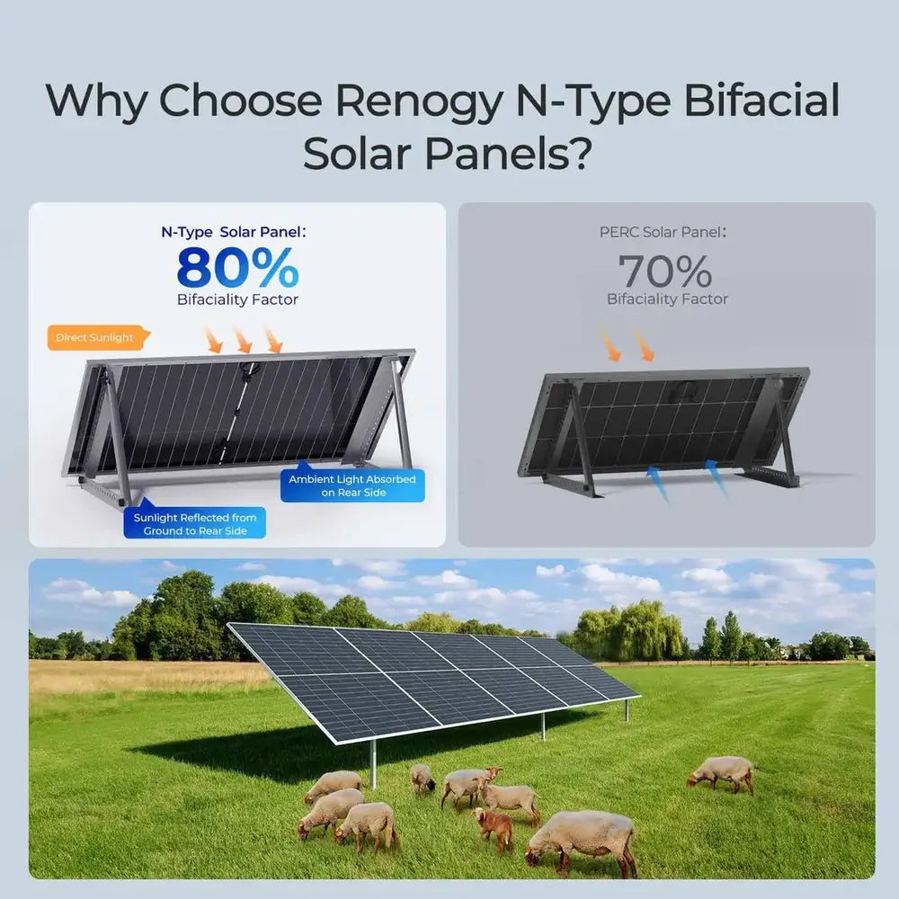 Comparison diagram showing Renogy N-Type solar panel's 80% bifaciality factor versus a standard 70% PERC panel, alongside a photo of a ground-mounted solar array in a green field with grazing sheep.