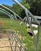 Close-up detail of the curved galvanized steel arches and support beams of the GreenhouseToGrow Magnolia greenhouse kit.