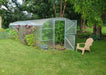 Full exterior view of an assembled GreenhouseToGrow Magnolia 10x26 Greenhouse Kit in a backyard garden with an open Dutch door and tall interior plants.