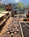 Decorated interior of a Magnolia 10x13 Greenhouse featuring a rustic log-slice walkway, wooden potting benches, and raised garden beds.