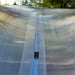 Close-up of the UV-protected twin-wall polycarbonate roof panel and central seam on a GreenhouseToGrow Magnolia greenhouse.