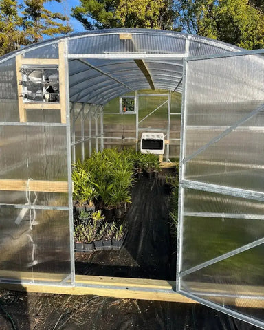 Interior view of the Magnolia 10x19.5 greenhouse filled with potted palms, featuring an installed exhaust fan and a Dutch door for optimal ventilation.
