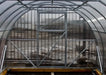 Close-up of the front end wall and door frame of a GreenhouseToGrow Camellia 10x32.5 Greenhouse Kit showing the heavy-duty galvanized steel structure and polycarbonate panels.