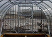 Interior view of the GreenhouseToGrow Camellia 10x39 Greenhouse Kit showing the heavy-duty galvanized steel end wall frame and clear polycarbonate panels.