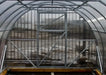 Interior view of the GreenhouseToGrow Camellia 10x13 Greenhouse Kit showing the heavy-duty galvanized steel frame and translucent polycarbonate panels.