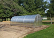 Exterior side profile of the Camellia 10x26 polycarbonate greenhouse kit installed in an open garden space.