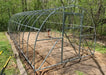 The completed galvanized steel frame of a GreenhouseToGrow Camellia Greenhouse Kit mounted on a timber foundation before panel installation.