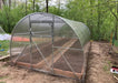 Completed GreenhouseToGrow Camellia 10x6.5 Greenhouse Kit in a wooded setting, showcasing the spacious interior with two long raised garden beds ready for seasonal planting.