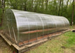 Finished GreenhouseToGrow Camellia 10x19.5 Greenhouse with translucent panels and a sturdy timber perimeter base.