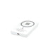 Lion Energy Lion Claw MagSafe battery pack, angled rear view