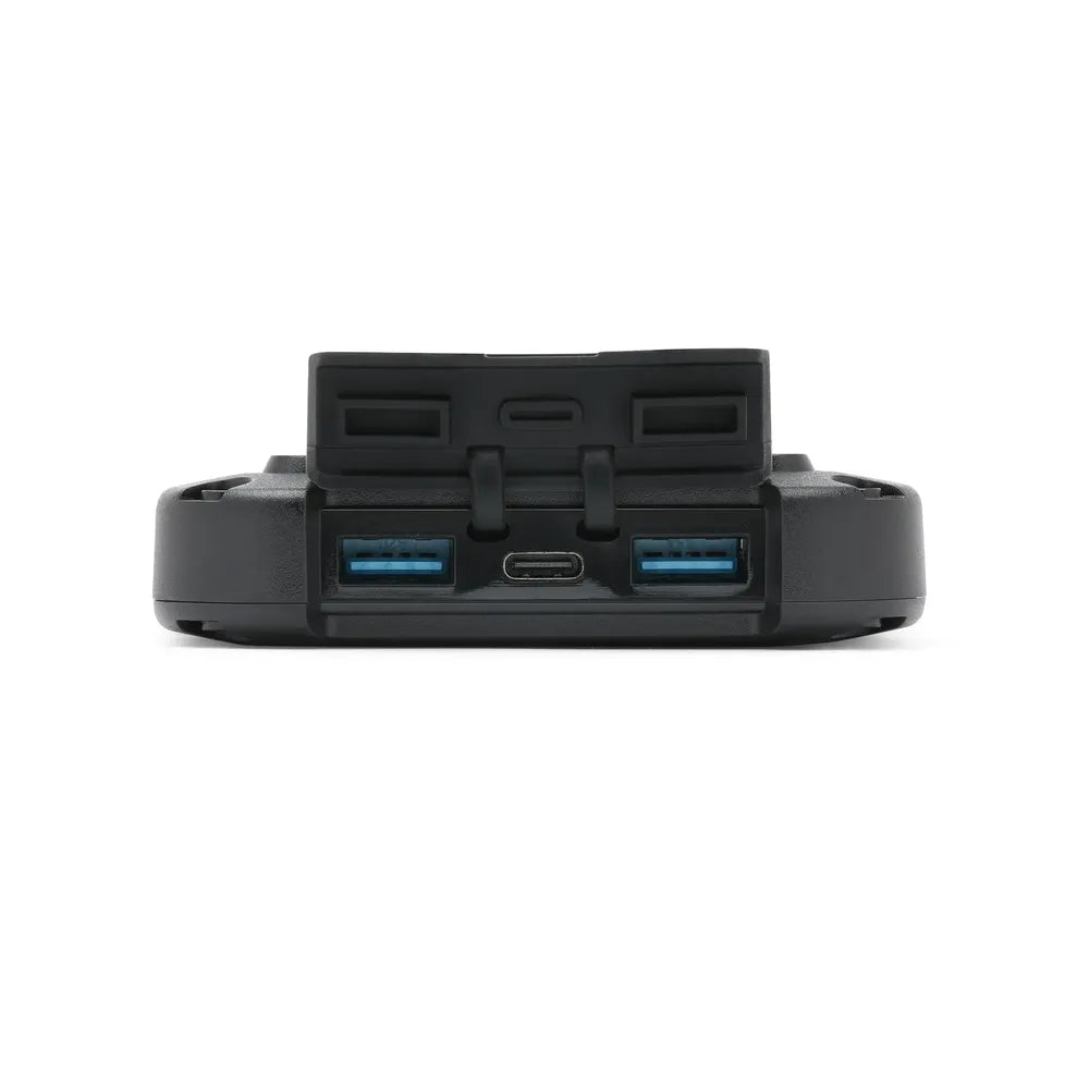 Lion Energy Lion Cub power bank ports with USB-A and USB-C input