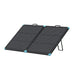Renogy 100W N-type portable lightweight solar suitcase set up on built-in kickstands against a white background.