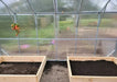 Inside the Magnolia 10x13 Greenhouse Kit showing empty wooden raised garden beds and the clear view through the polycarbonate walls.